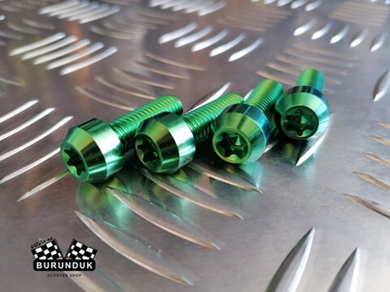 ТИТАНОВЫЙ БОЛТ M8 x 25 [ 2 шт ] ( для крепления суппорта ) DIO (ДИСКОВЫЕ ТОРМОЗА)