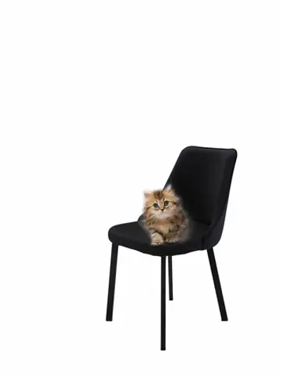 Стул "Флорес" 1 шт. Антивандальная ткань, Усиленные ножки