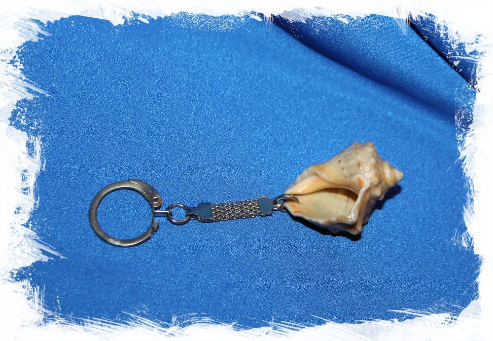 Морской сувенир брелок с ракушкой