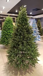 Ель искусственная «Брено» (Литая) 210 см / 2.1 м