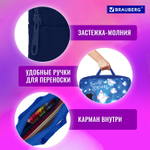 Папка на молнии с ручками BRAUBERG А4 1 отделение полиэстер 80 мм "Sweet dreams" (2 штуки в упаковке)