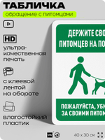 Табличка "Держите своих питомцев на поводке" на дверь и забор, для двора, дома, подъезда, 40х30 см, Silver Plane x Айдентика Технолоджи