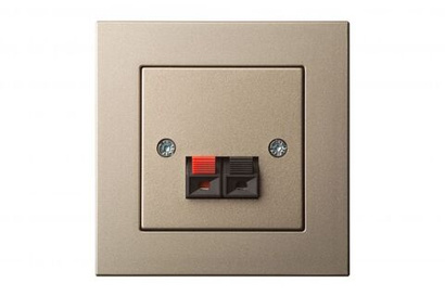 Аудио розетка Одноместная Шампань LIREGUS EPSILON