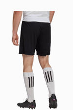 Шорты adidas Entrada 22