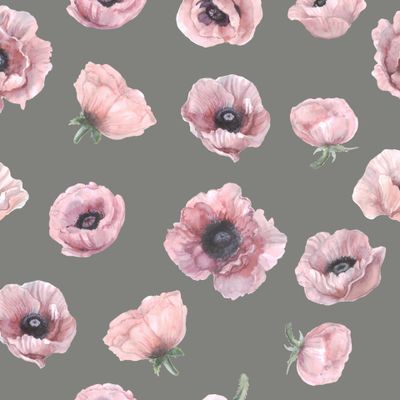 Акварельные розовые маки на темном фоне