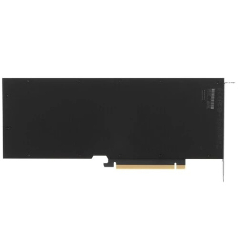 Видеокарта nVidia Tesla A10 (900-2G133-0020-000)