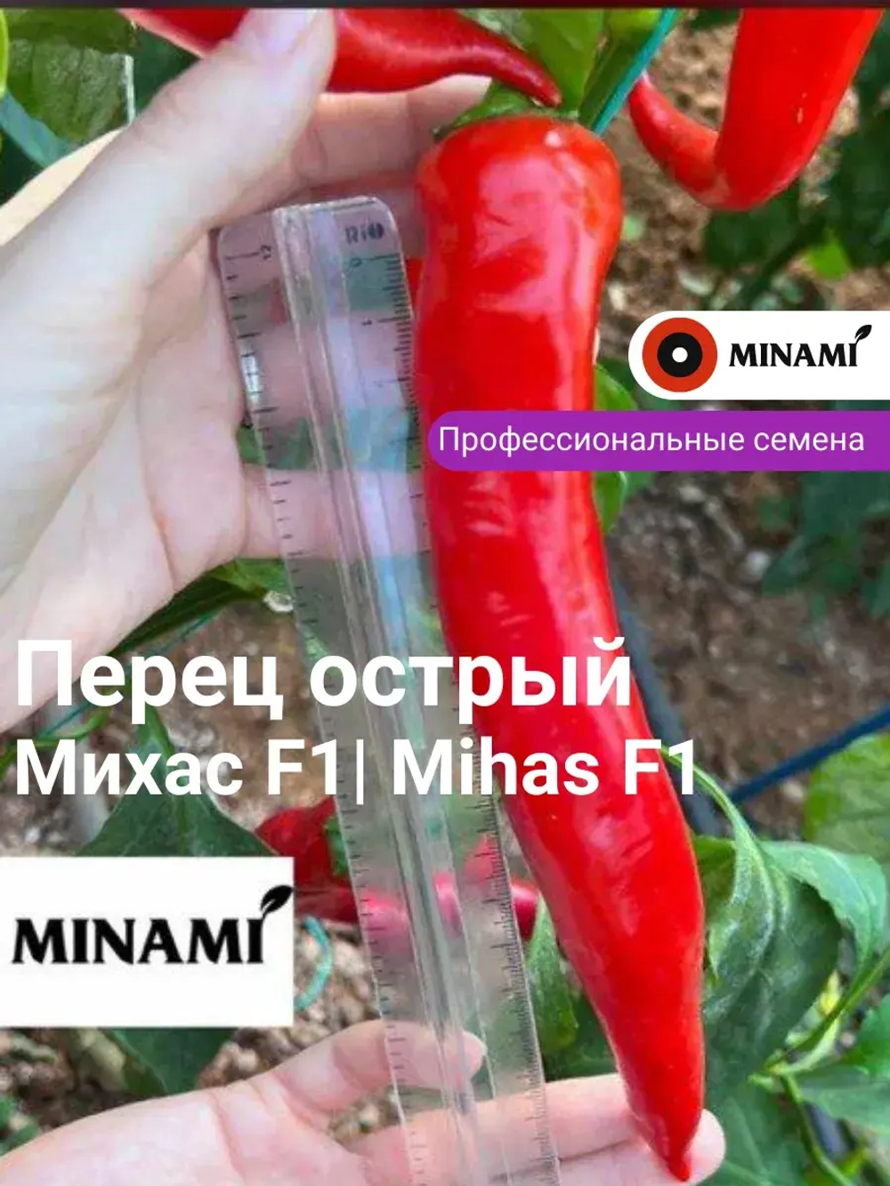 Перец острый Михас F1