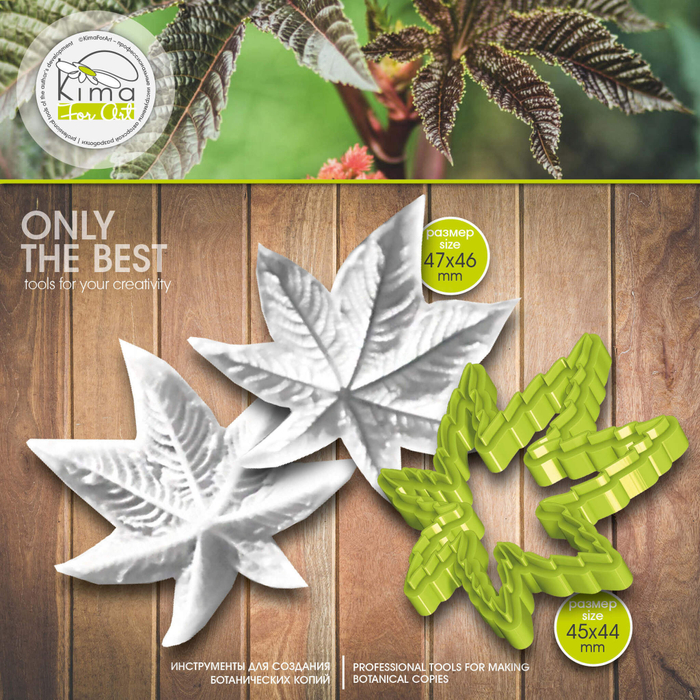 Клещевина лист маленький