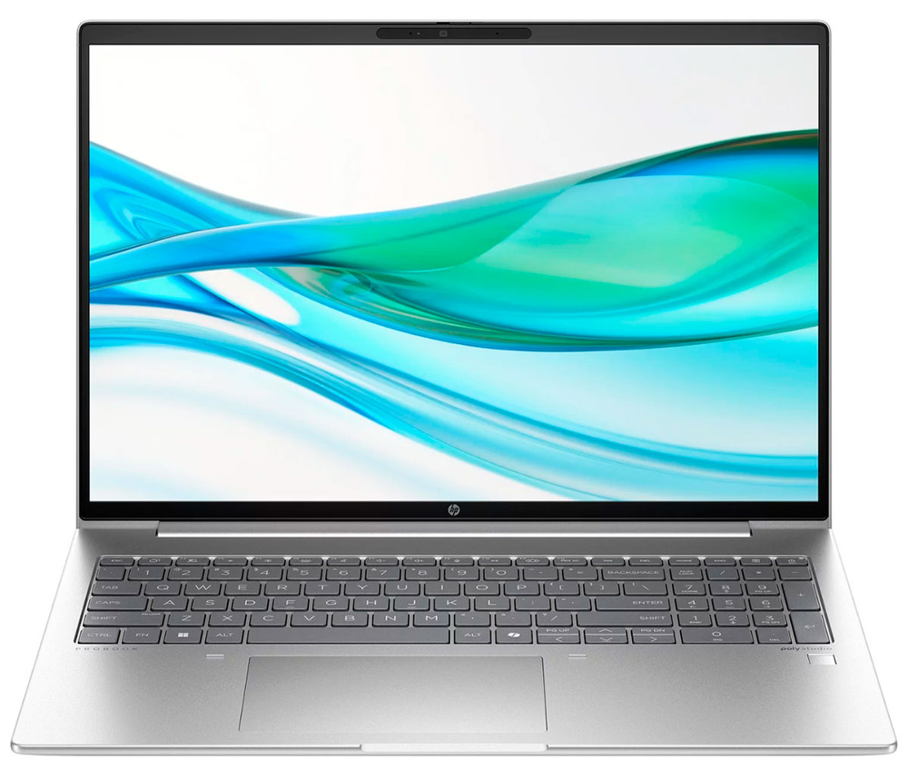 Ноутбук HP PROBOOK 460 G11 (AD2G9ET), серебристый в регионах России