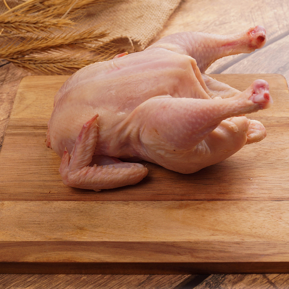 Цыплята тапака