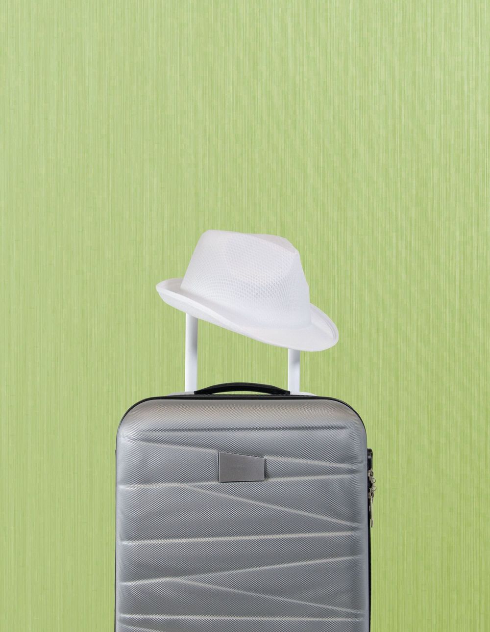 Чемодан на колесах PADUA