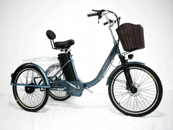 Электровелосипед Green Camel Трайк-B (R24 500W 48V 20Ah) задний привод