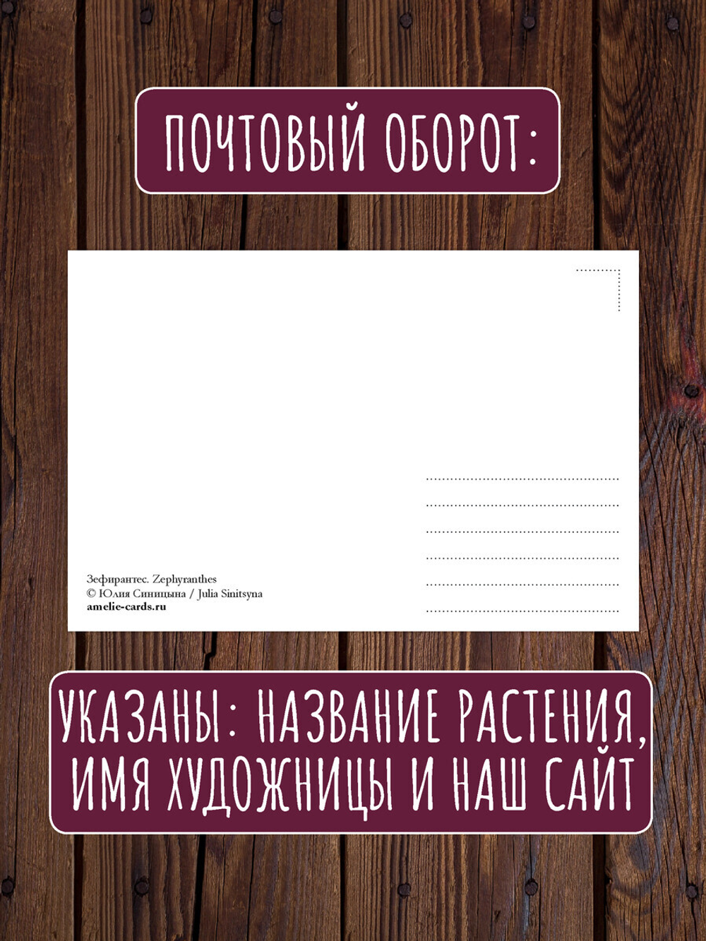 Ботаника. 9 открыток