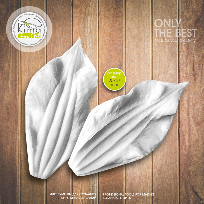 Клематис лепесток средний вытянутый