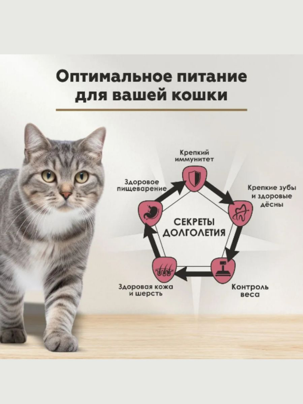 Влажный корм Secret Life Force (Секрет) 0,085кг курица в соусе пауч для кошек. В комплекте 24 шт