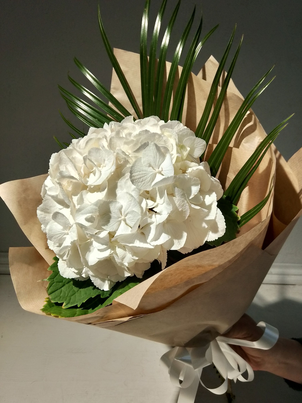 Комплимент с гортензии небесно-голубого цвета (М0030)