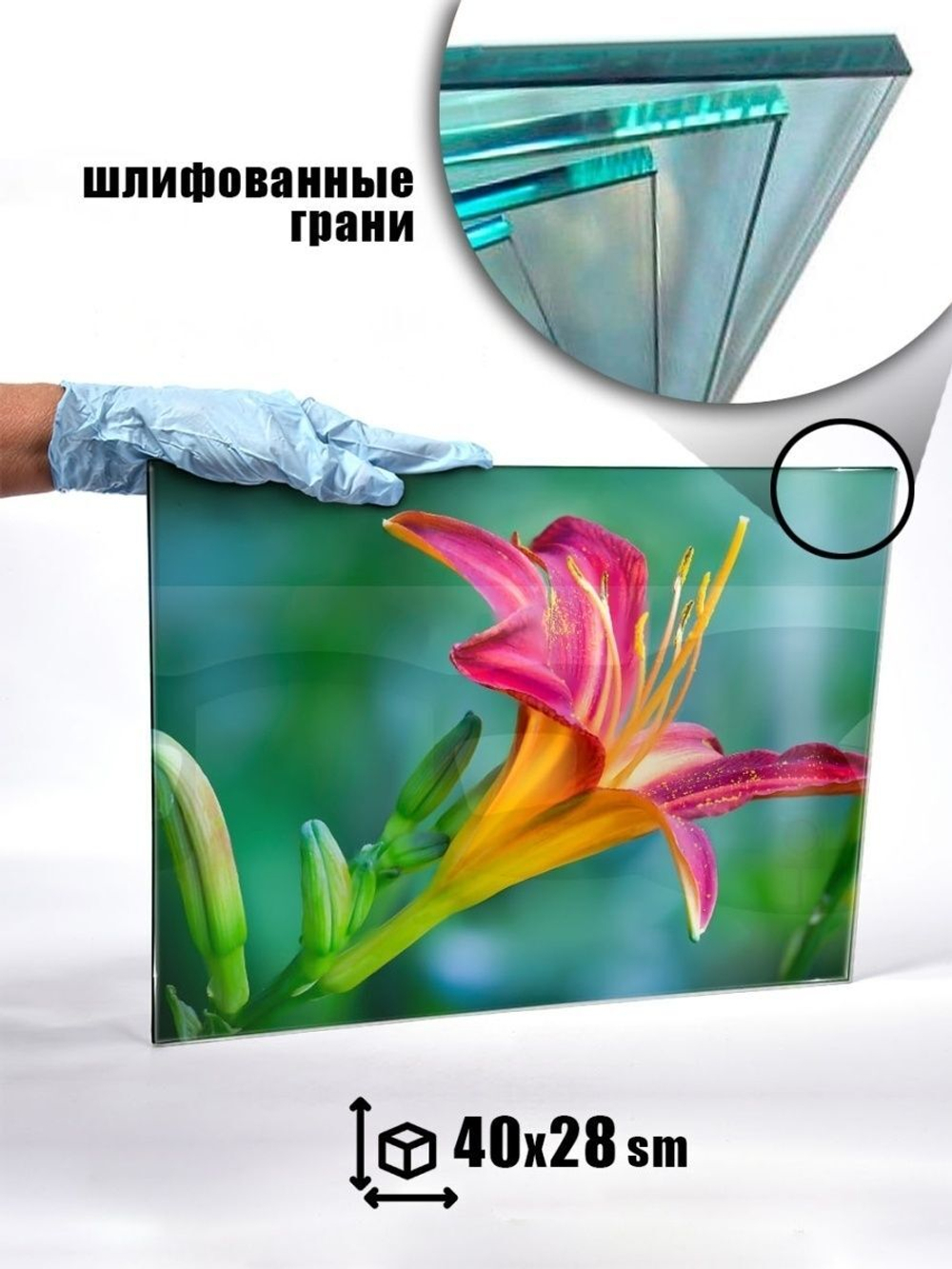 Модульная стеклянная интерьерная картина /Фотокартина на кухню /Летнее настроение /Цветы, 28x40 (зеленый / розовый)