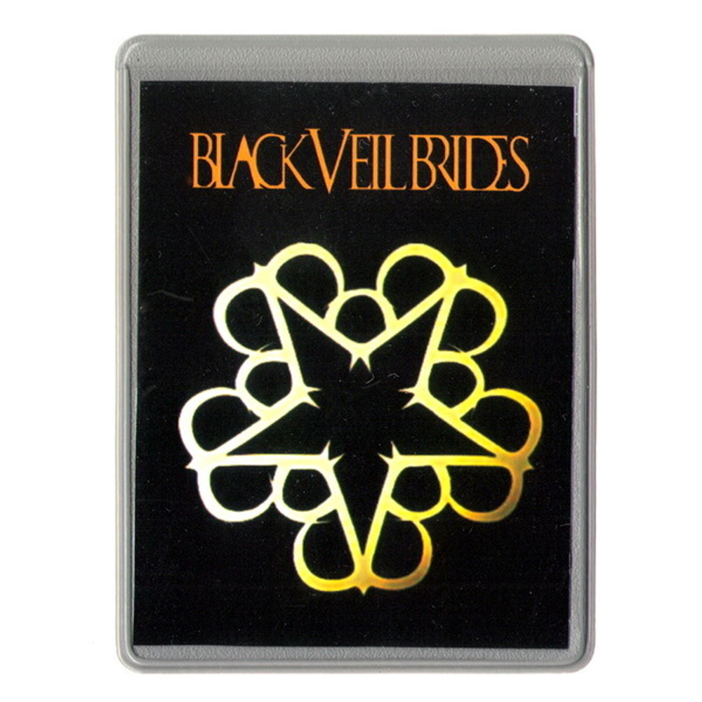 Чехол для проездного Black Veil Brides