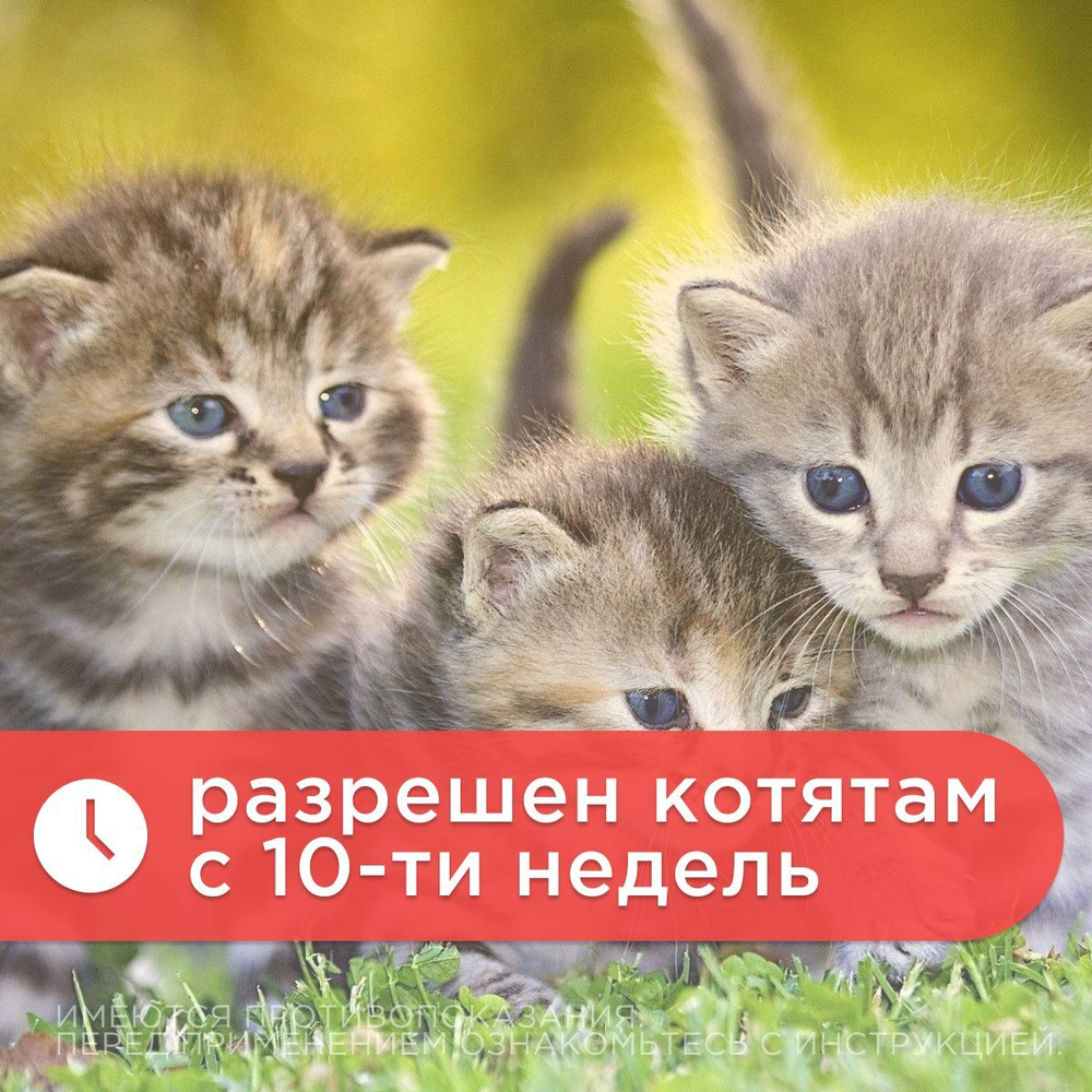 Капли от иксодовых и саркоптоидных клещей и блох Дана Ультра для кошек более 4кг