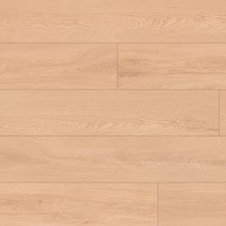 Grande XXL Schonbrunn, 3,019 м²