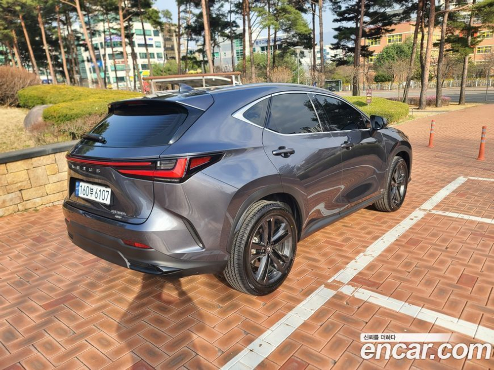 Lexus NX350h 2 Generation Premium (11.2023)