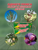 Ловчий пояс клей от вредителей 135г *1шт
