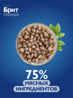 Пауч БРИТ ПРЕМИУМ для взрослых стерилизованных кошек лосось в соусе 85 г