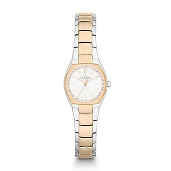 Наручные часы Skagen SKW2111