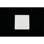 Выключатель двухклавишный Aployt Magnetic track 220 APL.0190.00.02