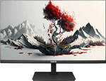Монитор 23,8" RDW Computers 2401K/F00В3120V2A1