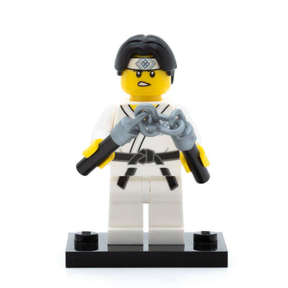 Каратист 71027 col20-10