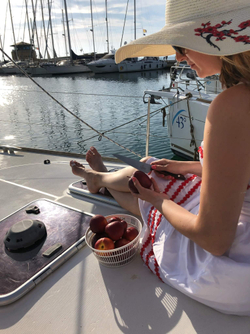 🏆Два Кухонных ножа Alexander M AUS-8 Red G10