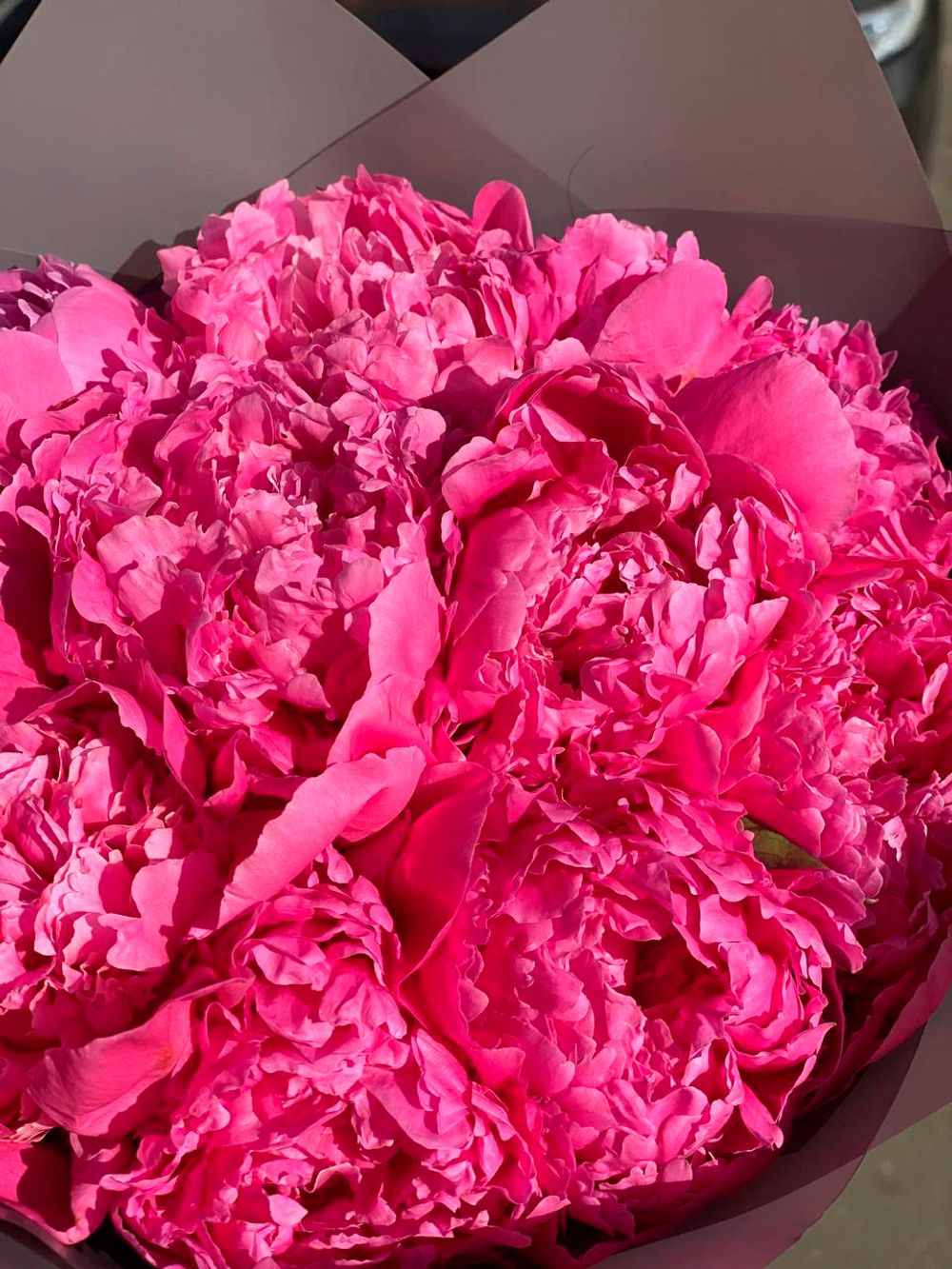 Пионы серый крафт