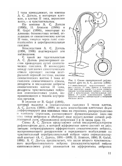 Метамерно-рецепторная рефлексотерапия | Ю.Н. Судаков; В.А. Берсенев; И. В. Торская