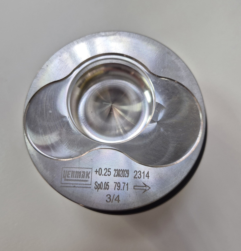 Поршни с кольцами +0.25 1.9 TDI AXC, AVF, AWX Yenmak
