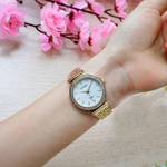 Женские японские наручные часы Citizen ER0212-50Y