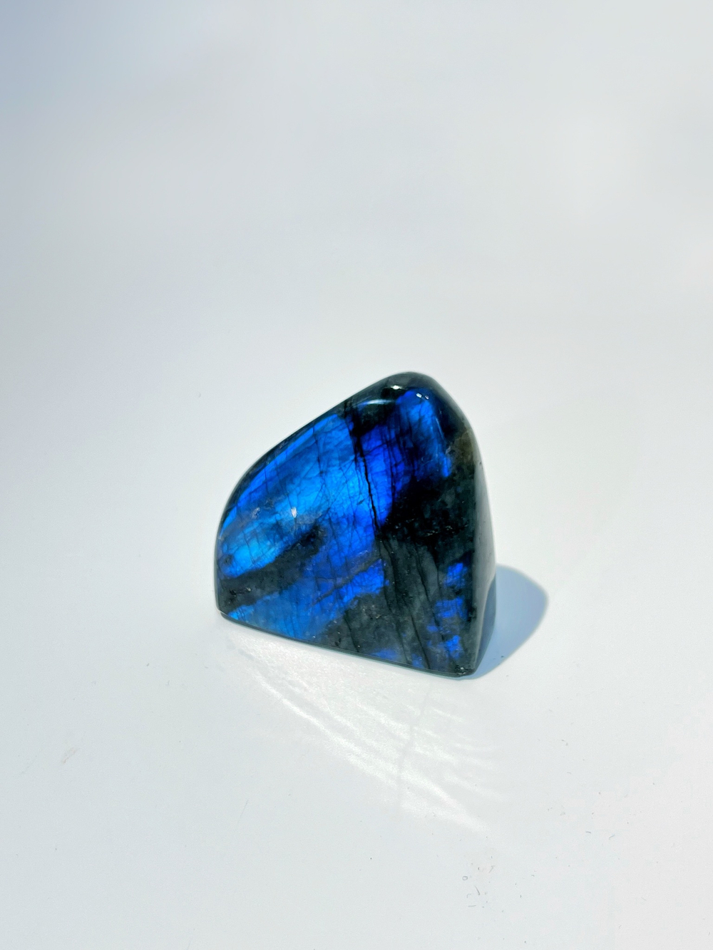 Срез Лабрадора S