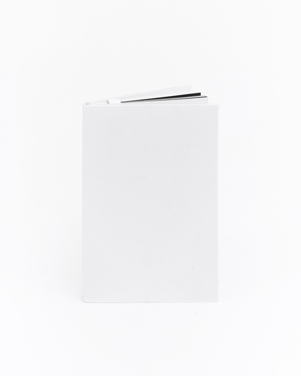 КНИГА "ДИМА НОВА: НЕИЗВЕСТНЫЙ ПРОЕКТ"