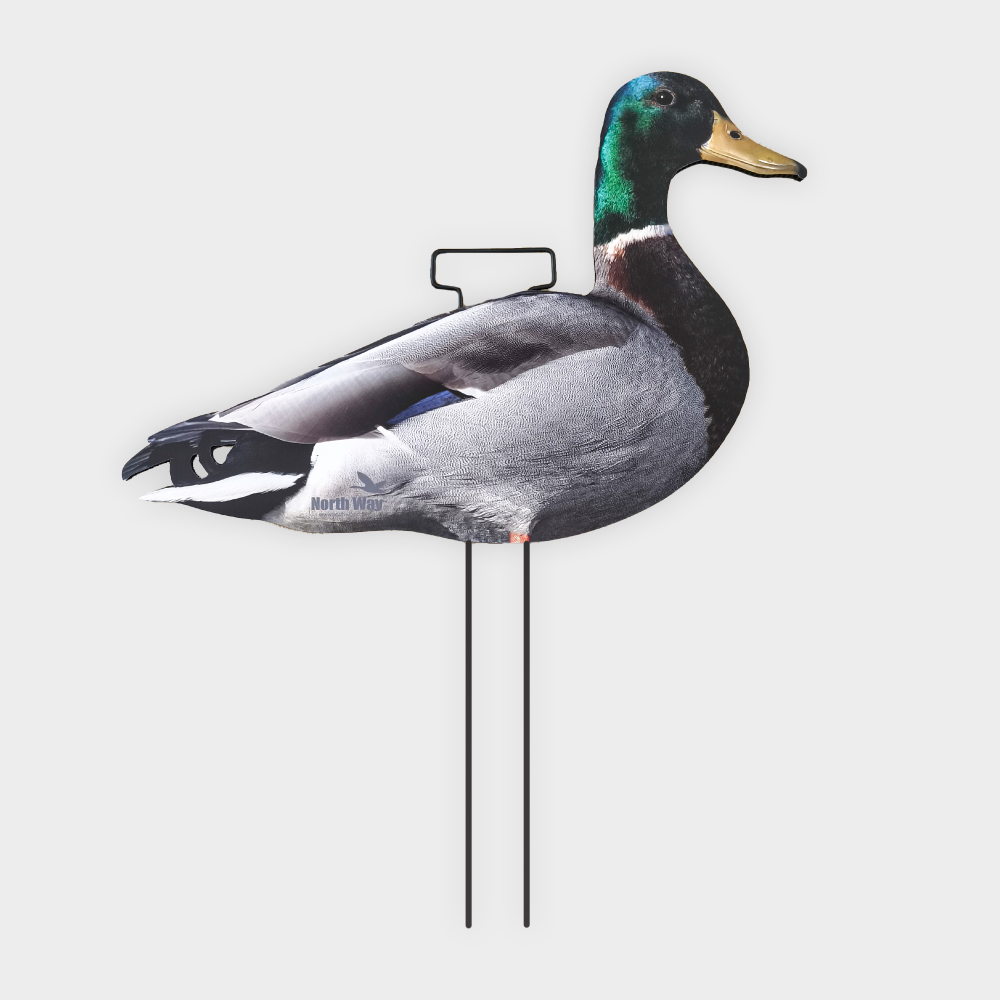 Кряква полевая (плоская) 12 шт.