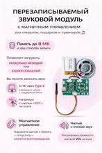 Звуковой модуль для открыток, память 8МБ (запись с ПК и с кнопки) управление магнитом