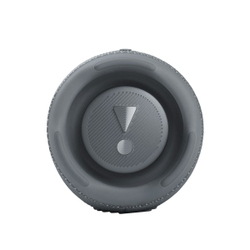 Портативная колонка JBL Charge 5 Gray