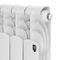 Радиатор биметаллический Royal Thermo Revolution B 350 - 12 секц. — (3)