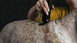 Машинка для стрижки животных Moser Max50 (1250-0061)