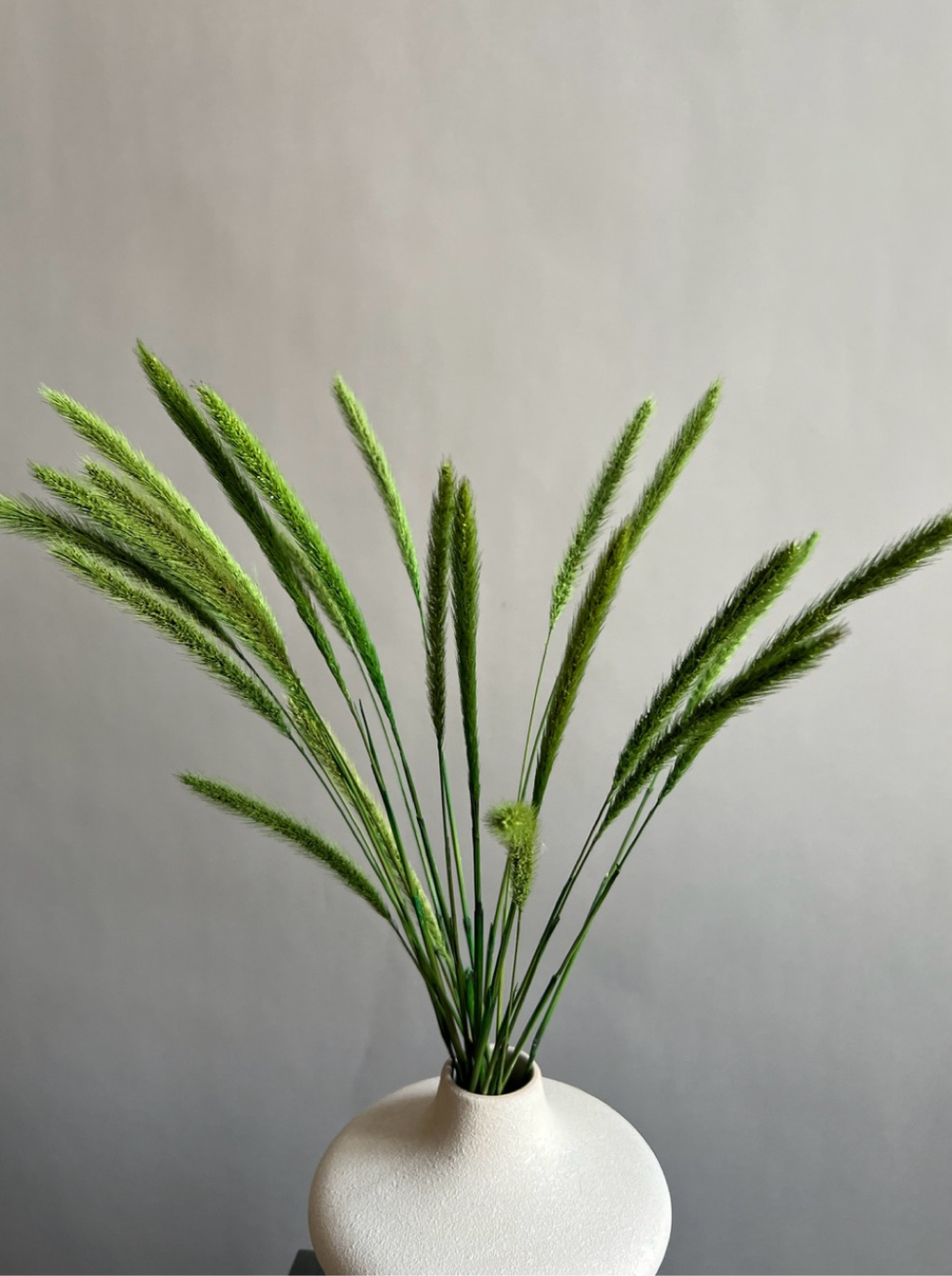 Сухоцвет зеленый