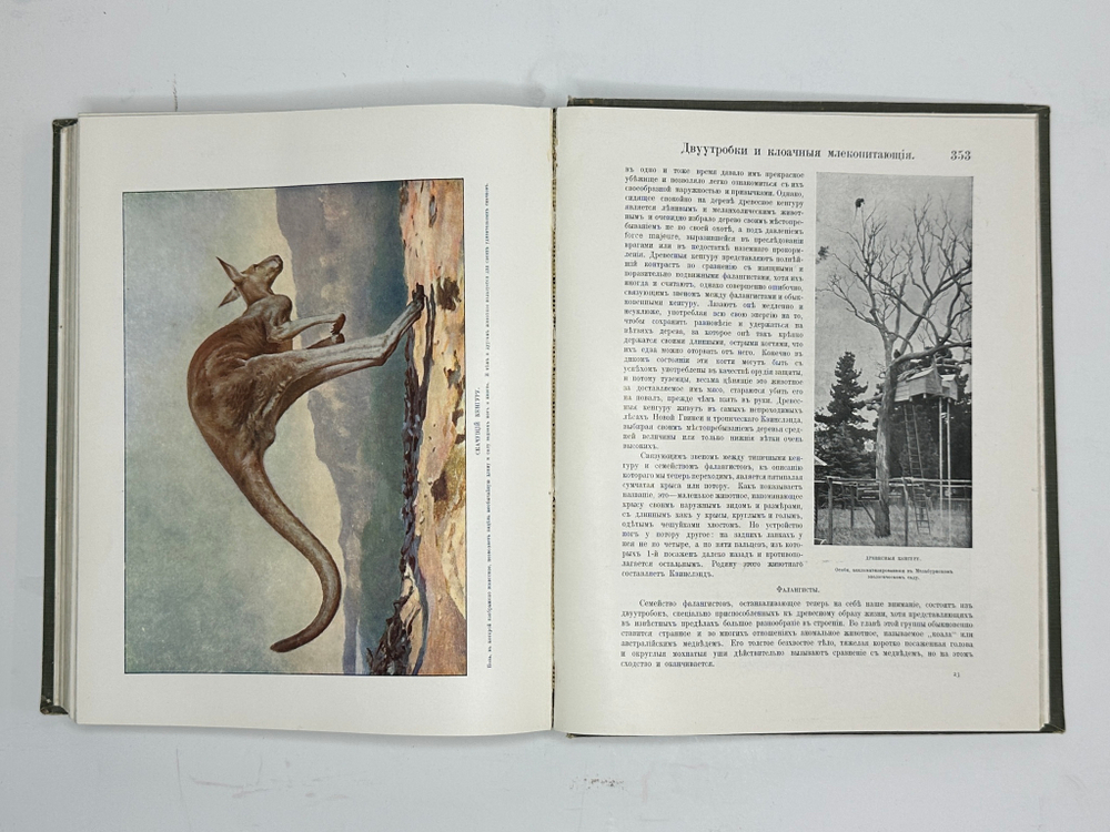 Корниш Чарльз Д. Жизнь животных. В 2-х т. В 2-х книгах. Москва. Издание Кнебель. 1909г.