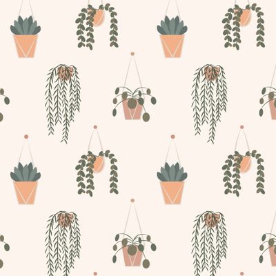Комнатные растения. House plants, potted plants.