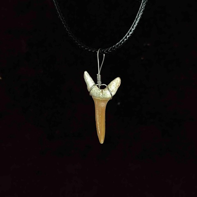 Амулет, зуб ископаемой акулы, натуральный