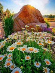 Алмазная вышивка \ Diamond painting ZX0210   30x40