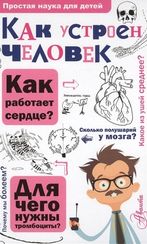 Как устроен человек
