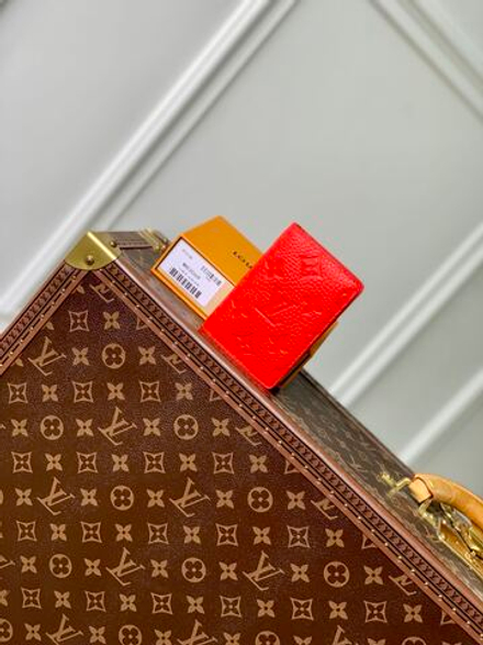 Louis Vuitton Pocket Organizer